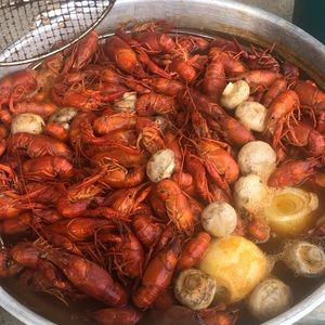 Meet your Posher, Shay